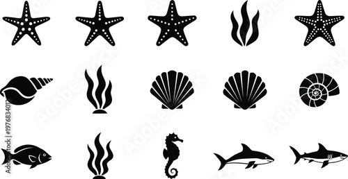 Collection of black silhouette of marine life and underwater plants starfish seashell conch nautilus