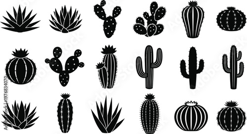 Collection of black silhouette of various desert plants and cacti cactus succulent black and white
