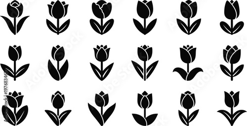 Fifteen black tulip with leaves on a white background flower symbol