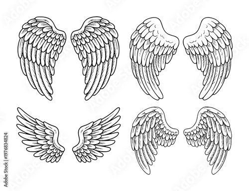 Collection of pairs of detailed black and white angel wings in different sizes and styles