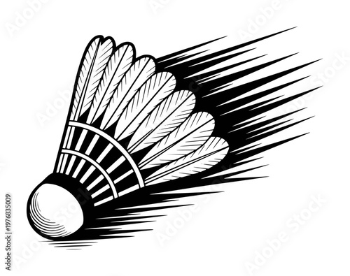 Dynamic Black and White Badminton Shuttlecock in Motion with Feather Detail sport