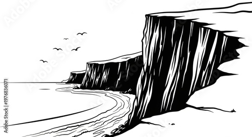 black and white illustration