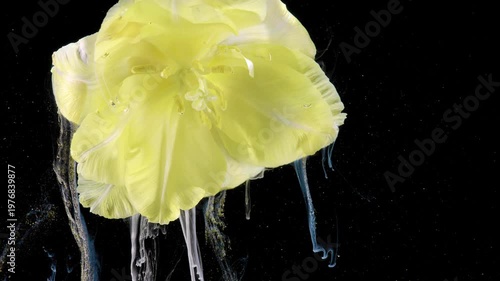 Yellow flower with ink streams, vertical translucent liquid ribbons flowing beneath petals, highspeed macro capture, serene botanical experiment,