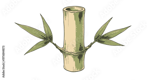Bamboo Stalk with Leaves Illustration.