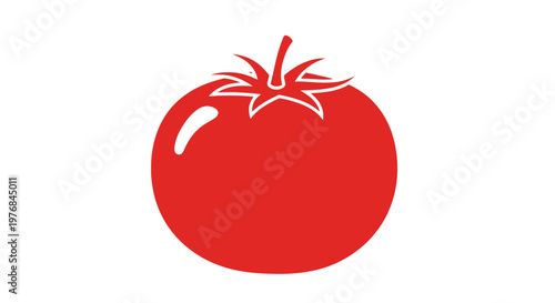 Red Tomato Fruit Illustration Isolated White.