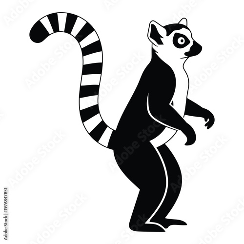 Ringtailed lemur standing on hind legs looking sideways  animal illustration icon