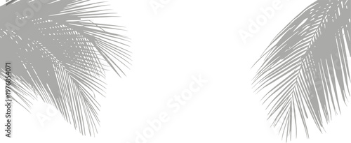 Minimal tropical palm leaf shadows on light background creating elegant natural composition for modern design. Soft botanical silhouettes with subtle overlay effect ideal for branding, posters, 