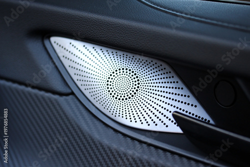 Modern speaker grill in a new vehicle door