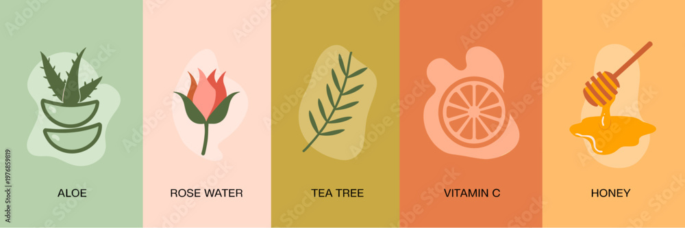 Obraz premium Natural Skincare Ingredients Banner Set Flat Vector with Aloe Rose Water Tea Tree Vitamin C and Honey Extracts