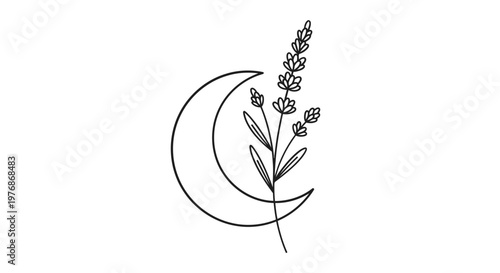 Minimalist line drawing of a crescent moon with a sprig of lavender