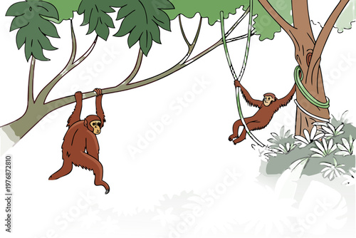 Primate habitat scene with orangutans in the canopy isolated on white