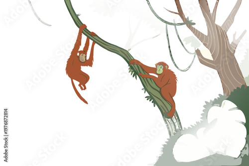Wild monkeys climbing trees in a rainforest cartoon vector