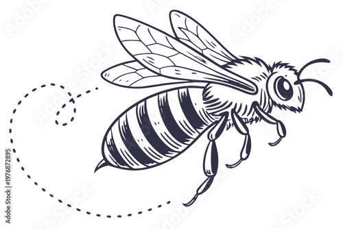 Hand drawn honey bee illustration in vintage ink sketch style