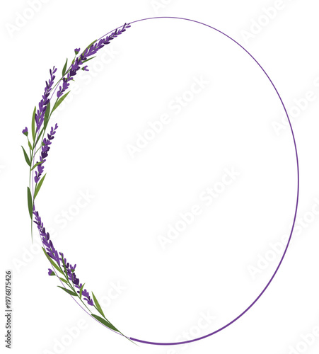 Elegant oval frame decorated with purple lavender flowers and green stems. Minimal clean design on white background. Perfect for easter, spring, wedding invitations, labels, and botanical decoration