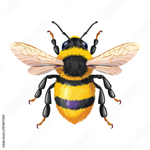 Vibrant illustration of a bee isolated on white background top view