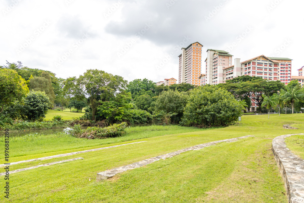 Obraz premium High-rise residential apartment buildings stand behind lush green public park with trees and grass. Urban housing development integrated with nature in Singapore city landscape.