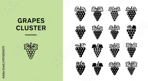 Diverse collection of vector grape cluster illustrations showcasing various stylized fruit designs for agricultural and beverage concepts.
