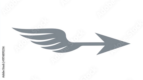 Stylized gray arrow with wings pointing right on a white background, symbol of speed