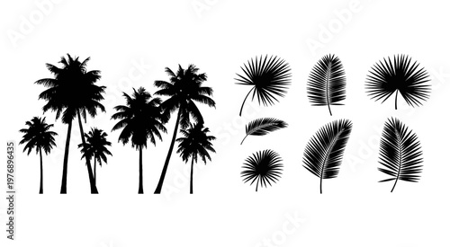 Tropical Palm Leaf Vector Silhouette Border and Tree Elements Set