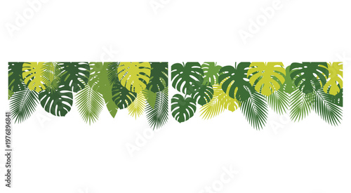 Exotic Tropical Palm Leaf Vector Silhouette Border Design