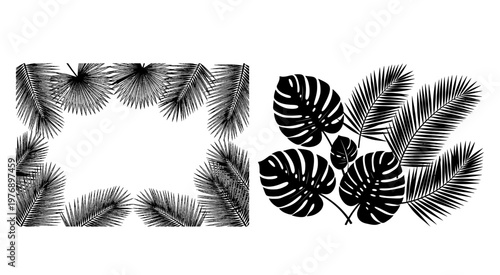 Tropical Elegance: Palm Leaf Vector Silhouette Border