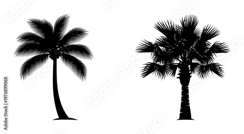 Tropical Paradise Palm Leaf Vector Silhouette Border Collection