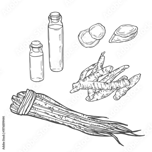 Set ginseng. Root, slice, bunch tied by rope, leaves, mortar, pestle, glass bottle of tincture. Vector engraving vintage black illustration for traditional medicine. Isolated on white