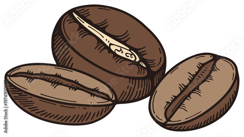 Vector image of coffee beans, isolated on a white background. For packaging, menu design, websites, and promotional materials, posters, flyers, social media, logos, icons, merchandise, and printed pro