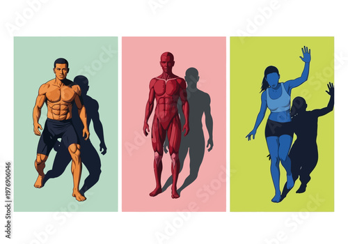 Human Anatomy and Fitness Illustration Set with Muscle Structure, Bodybuilder, and Athletic Female Silhouette