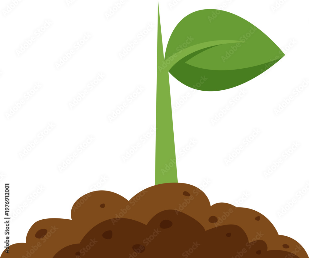 Fototapeta premium Soil Nurtured Seedling