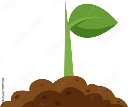 Soil Nurtured Seedling