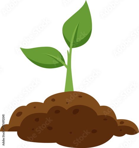 Soil Nurtured Seedling