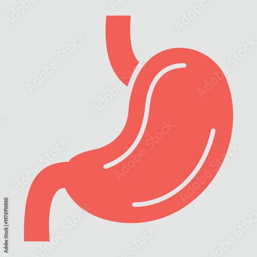 Human Stomach: An illustration highlighting the human stomach, the primary organ for digestion in the human body, providing essential functions for nutrient absorption and overall health.