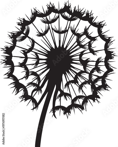 Detailed silhouette of a dandelion flower with seeds blowing away in the wind  botanical illustration