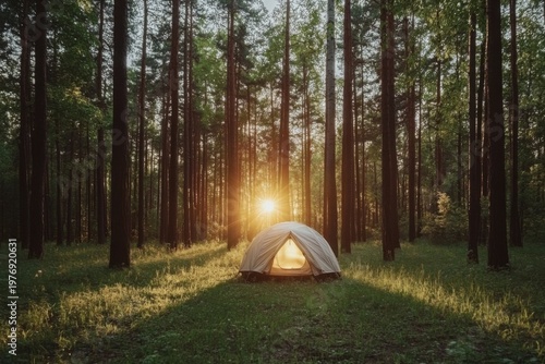 Serene camping experience with tent in sunlit forest clearing