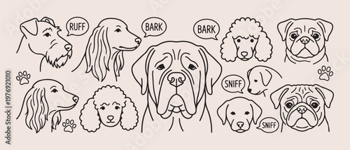 cute dog breed doodles, hand drawn puppy sketches, pet lover line art, aesthetic dog face illustrations, animal portrait doodle set, bark sniff dog drawings, scrapbook pet element art

