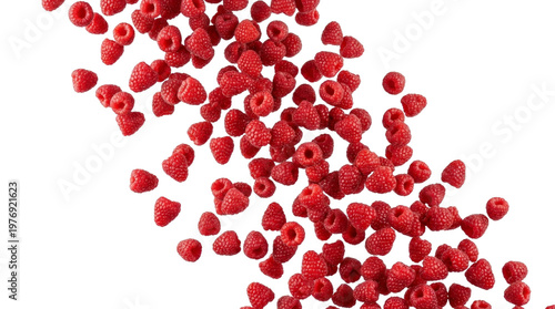 Many red raspberries falling isolated on white background