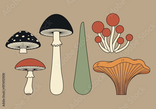 Vintage Mushroom Illustration Set - 70s Retro Style Fungi Botanical Graphics