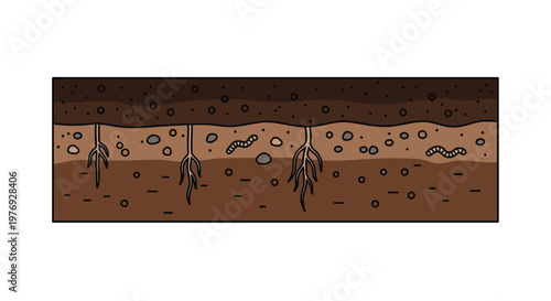 Detailed subterranean soil profile layers display organic topsoil and rocky subsoil with intricate root systems in a vibrant earthy brown color palette.