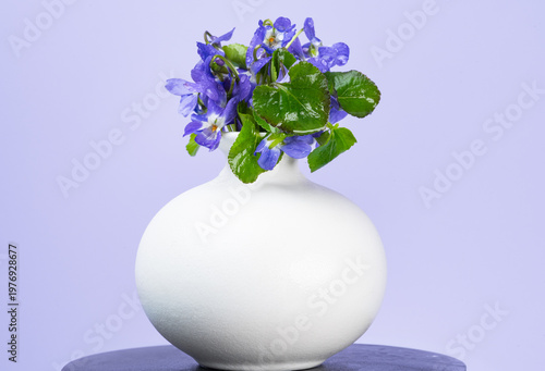 wild violet flowers in a vase