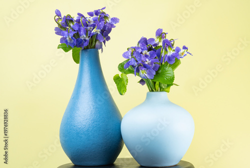 wild violet flowers in a vase