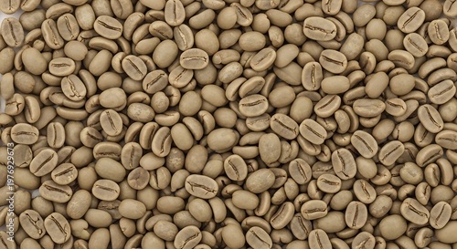 Green Coffee Beans Background