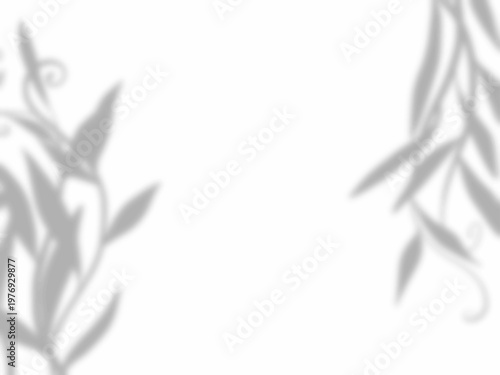 葉の影が白い壁に映るシンプルな背景素材