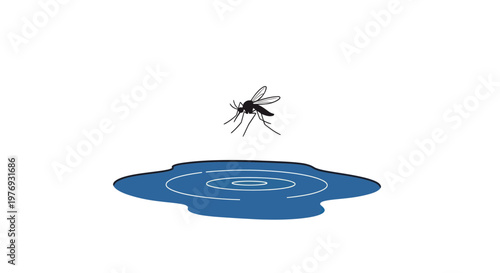 Mosquito, standing water, vector illustration, blue puddle, insect breeding