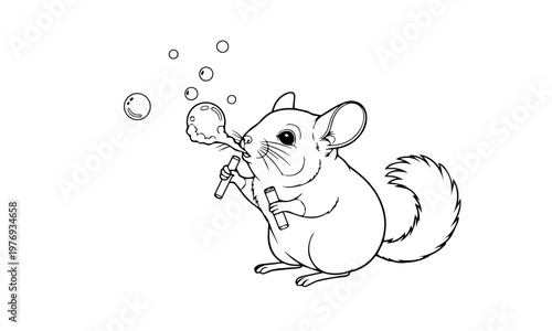 A charming illustration depicts a chinchilla playfully blowing soap bubbles with a wand. Coloring page, black and white