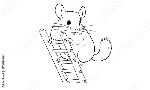 A charming line drawing depicts a chinchilla climbing a wooden ladder. Coloring page, black and white