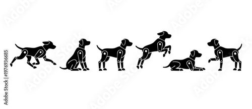 Robot dog silhouettes set, robotic animal poses, mechanical pet icons, mechanical puppy movements, futuristic toy technology, collection of metal hound characters in different action stances, vector g