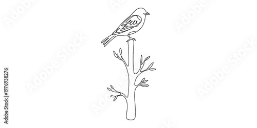 A minimalist single line drawing of a small bird perched calmly on top of a leafless tree branch Vector, illustration