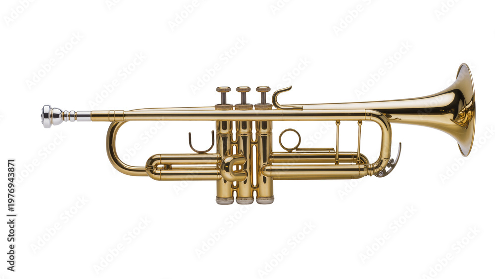Obraz premium Golden Brass Cornet Musical Instrument with Valves and Bell