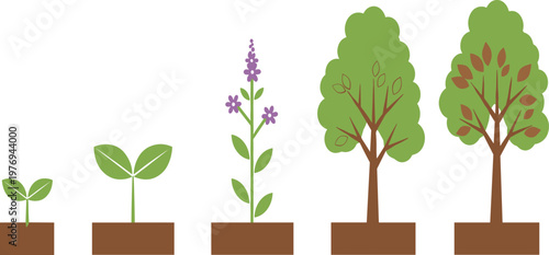 Set of Nine Realistic Garden Shrubs and Green Bushes Featuring Various Topiary Shapes and Hedges for Landscape and Environmental DesignSet of Nine Realistic Garden Shrubs and Green Bushes Featuring Va